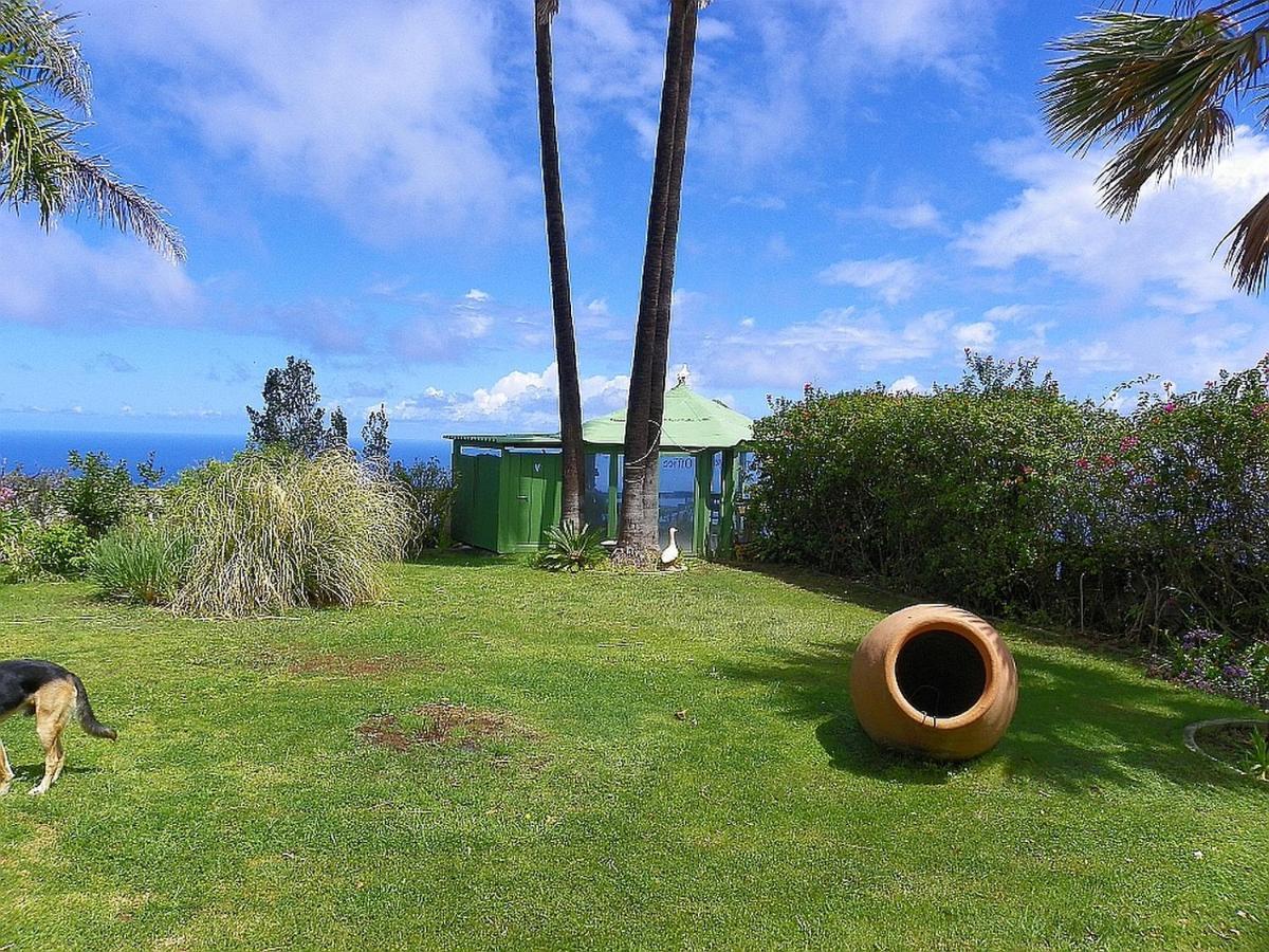 Ferienhaus-Bungalow Casa Palopique อิคอดเดลอสวินอส ภายนอก รูปภาพ